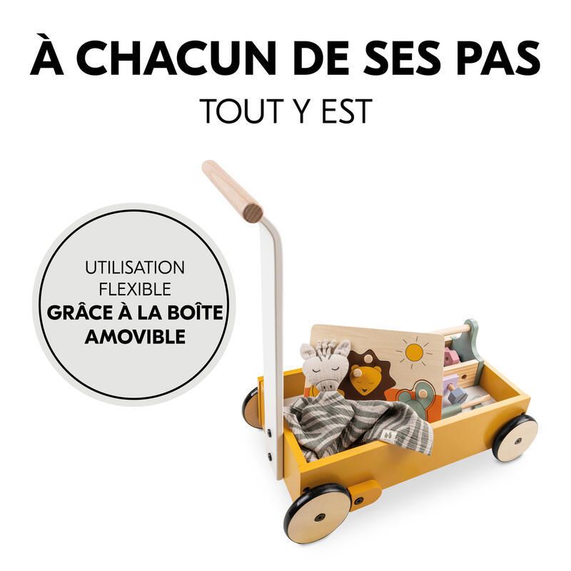 Chariot Learn To Walk Plants Plants Hauck Jouets