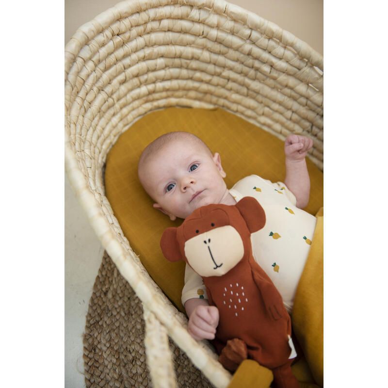 Petite Peluche - Mr. Monkey