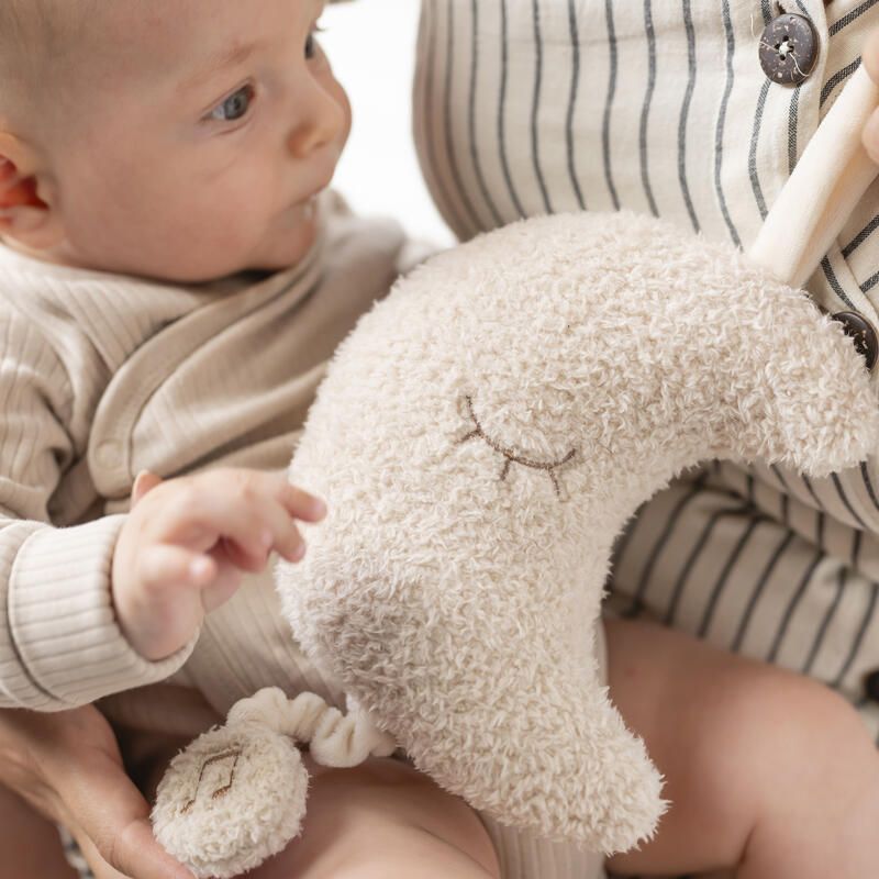 Musical Lune Teddy Bouclette